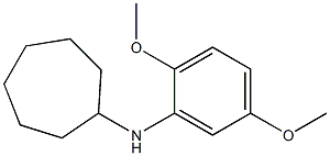 N-(2,5-dimethoxyphenyl)cycloheptanamine Struktur