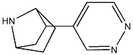 2-(pyridazin-4-yl)-7-azabicyclo(2.2.1)heptane Struktur