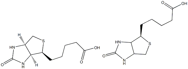 D-biotin (vitamin H) Struktur