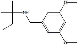 [(3,5-dimethoxyphenyl)methyl](2-methylbutan-2-yl)amine Struktur