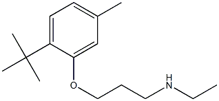 [3-(2-tert-butyl-5-methylphenoxy)propyl](ethyl)amine Struktur