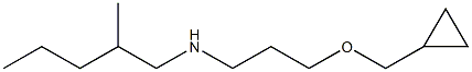 [3-(cyclopropylmethoxy)propyl](2-methylpentyl)amine Struktur