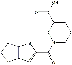 1-{4H,5H,6H-cyclopenta[b]thiophen-2-ylcarbonyl}piperidine-3-carboxylic acid Struktur