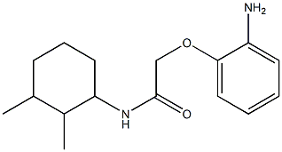 2-(2-aminophenoxy)-N-(2,3-dimethylcyclohexyl)acetamide Struktur