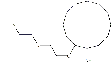 2-(2-butoxyethoxy)cyclododecan-1-amine Struktur