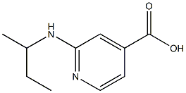 2-(butan-2-ylamino)pyridine-4-carboxylic acid Struktur