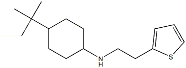 4-(2-methylbutan-2-yl)-N-[2-(thiophen-2-yl)ethyl]cyclohexan-1-amine Struktur