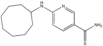 6-(cyclooctylamino)pyridine-3-carbothioamide Struktur