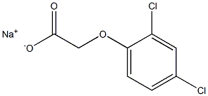  化學構(gòu)造式