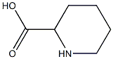 DL-Pipecolinic acid Struktur