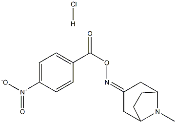 N-(8-methyl-8-azabicyclo[3.2.1]oct-3-ylidene)-N-[(4-nitrobenzoyl)oxy]amine hydrochloride Struktur