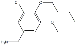 (4-butoxy-3-chloro-5-methoxyphenyl)methanamine Struktur