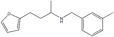 [4-(furan-2-yl)butan-2-yl][(3-methylphenyl)methyl]amine Struktur