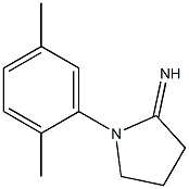 1-(2,5-dimethylphenyl)pyrrolidin-2-imine Struktur