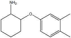 2-(3,4-dimethylphenoxy)cyclohexan-1-amine Struktur