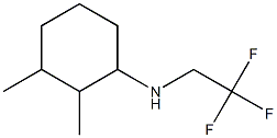 2,3-dimethyl-N-(2,2,2-trifluoroethyl)cyclohexan-1-amine Struktur