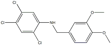 2,4,5-trichloro-N-[(3,4-dimethoxyphenyl)methyl]aniline Struktur