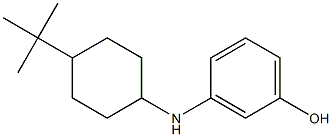 3-[(4-tert-butylcyclohexyl)amino]phenol Struktur