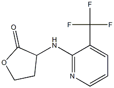 3-{[3-(trifluoromethyl)pyridin-2-yl]amino}oxolan-2-one Struktur