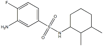 3-amino-N-(2,3-dimethylcyclohexyl)-4-fluorobenzene-1-sulfonamide Struktur