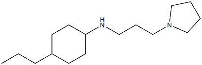 4-propyl-N-[3-(pyrrolidin-1-yl)propyl]cyclohexan-1-amine Struktur