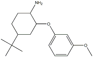 4-tert-butyl-2-(3-methoxyphenoxy)cyclohexan-1-amine Struktur