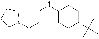 4-tert-butyl-N-[3-(pyrrolidin-1-yl)propyl]cyclohexan-1-amine Struktur