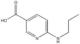 6-(propylamino)pyridine-3-carboxylic acid Struktur