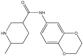 N-2,3-dihydro-1,4-benzodioxin-6-yl-6-methylpiperidine-3-carboxamide Struktur