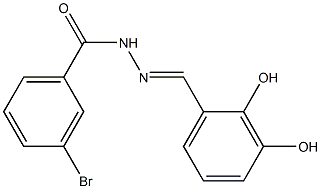 3-bromo-N'-[(E)-(2,3-dihydroxyphenyl)methylidene]benzohydrazide Structure