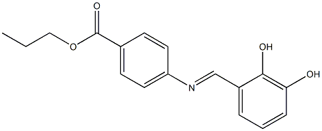 propyl 4-{[(E)-(2,3-dihydroxyphenyl)methylidene]amino}benzoate Struktur