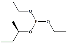 (-)-Phosphorous acid [(R)-sec-butyl]diethyl ester Struktur