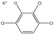 Potassium 2,3,6-trichlorophenolate Struktur