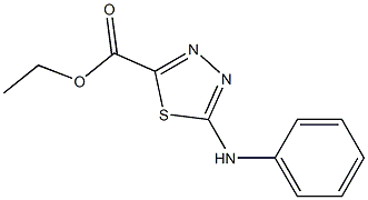 5-(Phenylamino)-1,3,4-thiadiazole-2-carboxylic acid ethyl ester Struktur