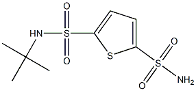 N-tert-Butyl-5-sulfamoylthiophene-2-sulfonamide Struktur