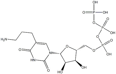 5-(3-aminopropyl)uridine triphosphate Struktur