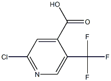 2-Chloro-5-(trifluoromethyl)-4-pyridinecarboxylic acid Struktur