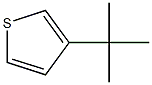 3-(1,1-dimethylethyl)thiophene Struktur