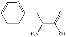 3-(2-PYRIDYL)-D-ALANINE, >98% Struktur