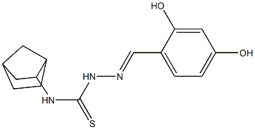 N1-bicyclo[2.2.1]hept-2-yl-2-(2,4-dihydroxybenzylidene)hydrazine-1-carbothi oamide Struktur