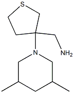 [3-(3,5-dimethylpiperidin-1-yl)tetrahydrothien-3-yl]methylamine Struktur