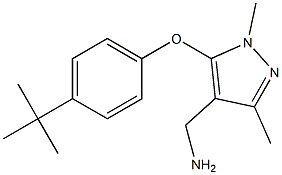 [5-(4-tert-butylphenoxy)-1,3-dimethyl-1H-pyrazol-4-yl]methanamine Struktur