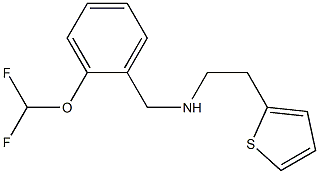 {[2-(difluoromethoxy)phenyl]methyl}[2-(thiophen-2-yl)ethyl]amine Struktur