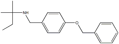 {[4-(benzyloxy)phenyl]methyl}(2-methylbutan-2-yl)amine Struktur