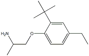 1-(2-aminopropoxy)-2-tert-butyl-4-ethylbenzene Struktur