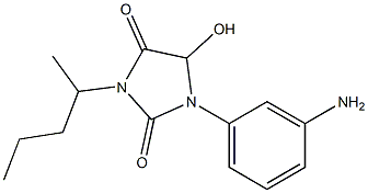 1-(3-aminophenyl)-5-hydroxy-3-(pentan-2-yl)imidazolidine-2,4-dione Struktur