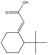 2-(2-tert-butylcyclohexylidene)acetic acid Struktur