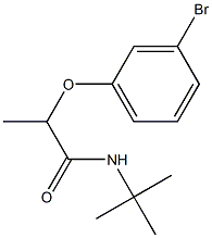 2-(3-bromophenoxy)-N-tert-butylpropanamide Struktur