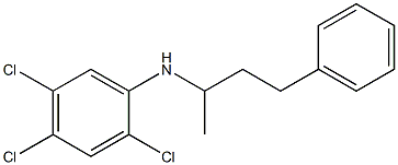 2,4,5-trichloro-N-(4-phenylbutan-2-yl)aniline Struktur