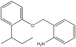 2-[2-(butan-2-yl)phenoxymethyl]aniline Struktur